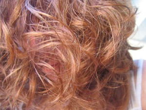 Shampoing colorant naturel