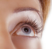 Cils plus intense